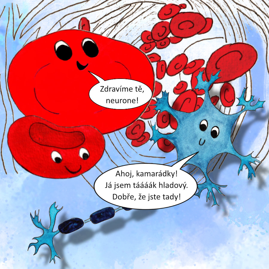 Krvinka a Hema zdraví neurona v mozku